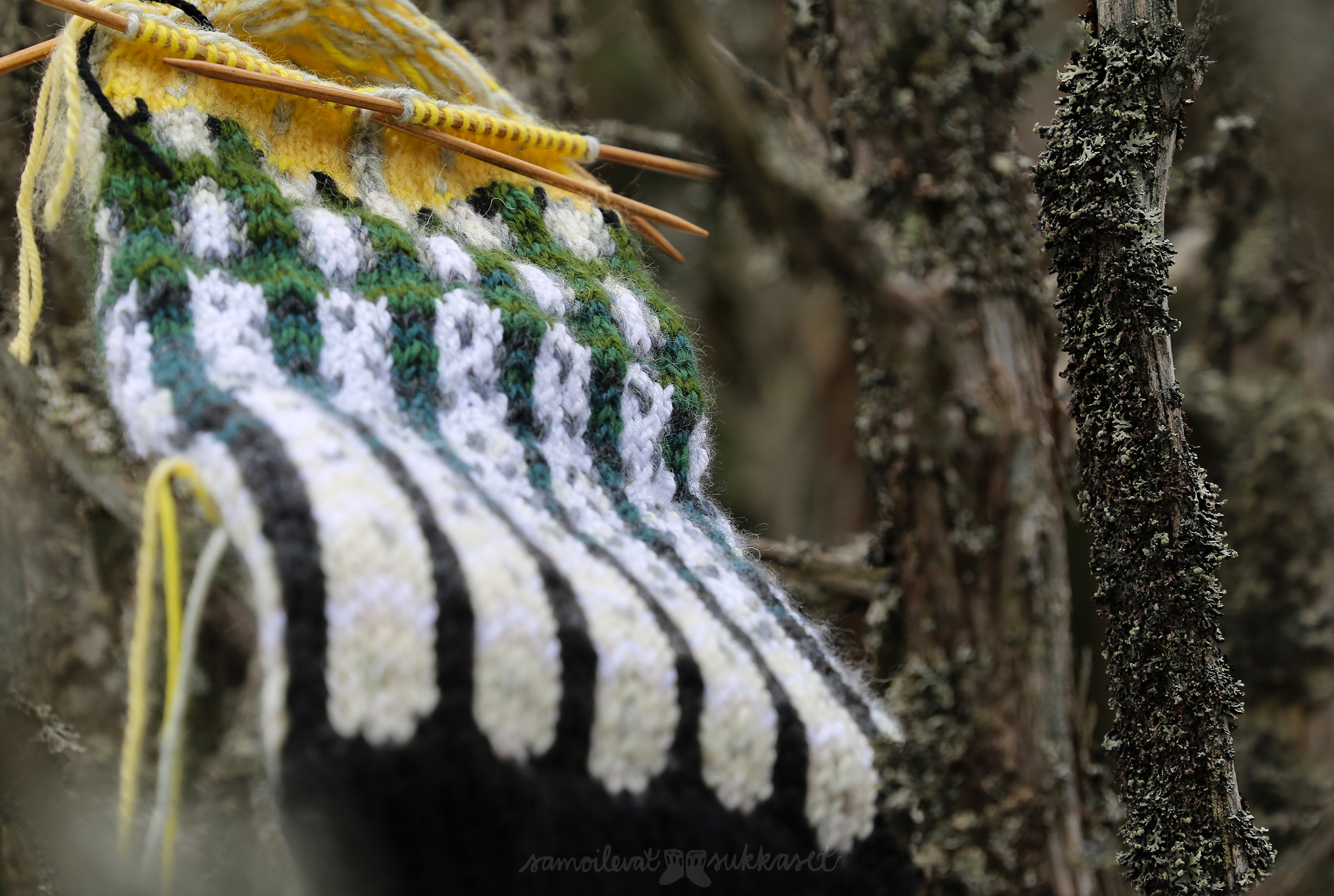 talitiainen_villasukat_kirjoneule_samoilevat sukkaset-8