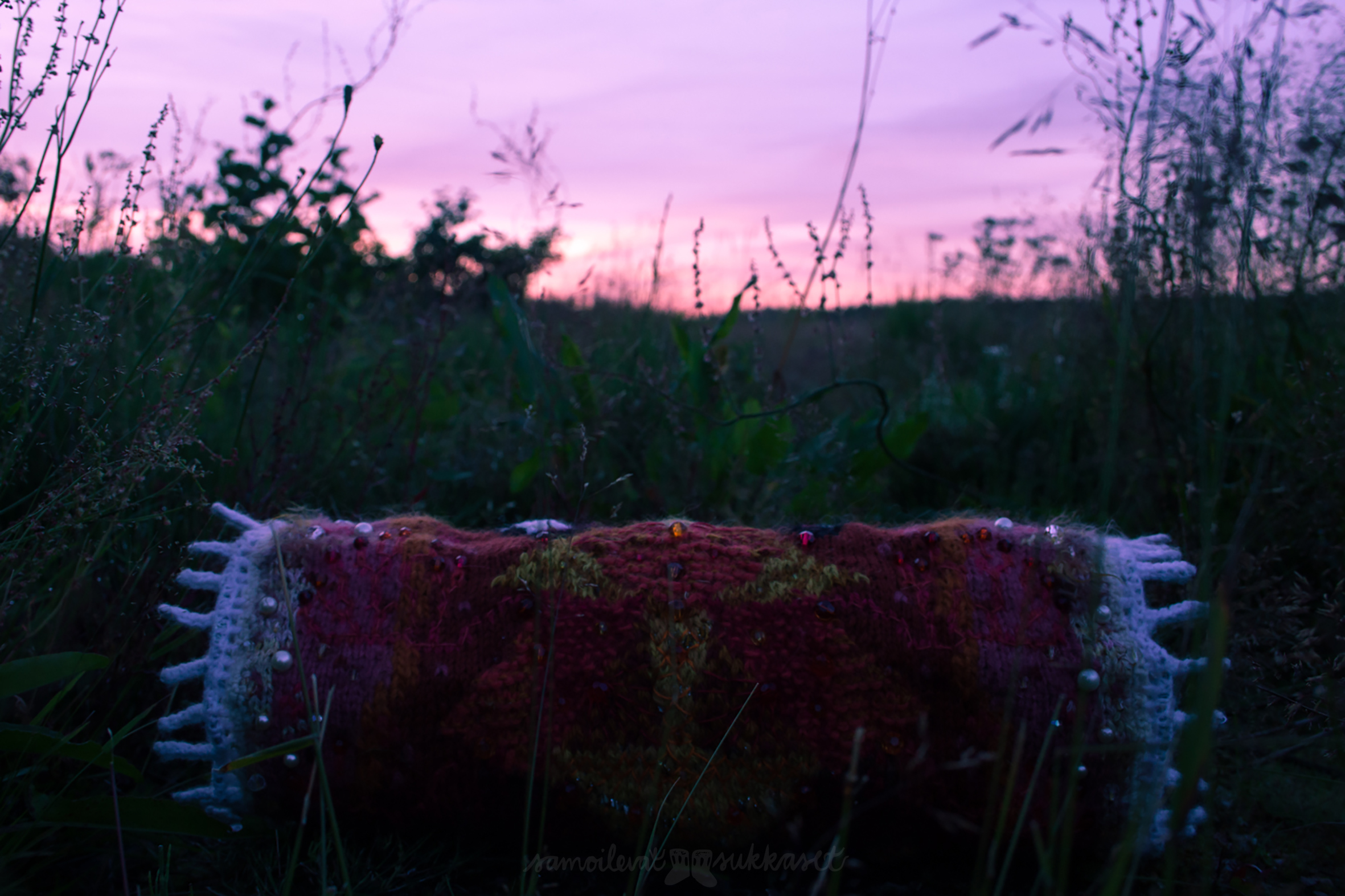 Aurinko Armas_2017_still9_samoilevatsukkaset