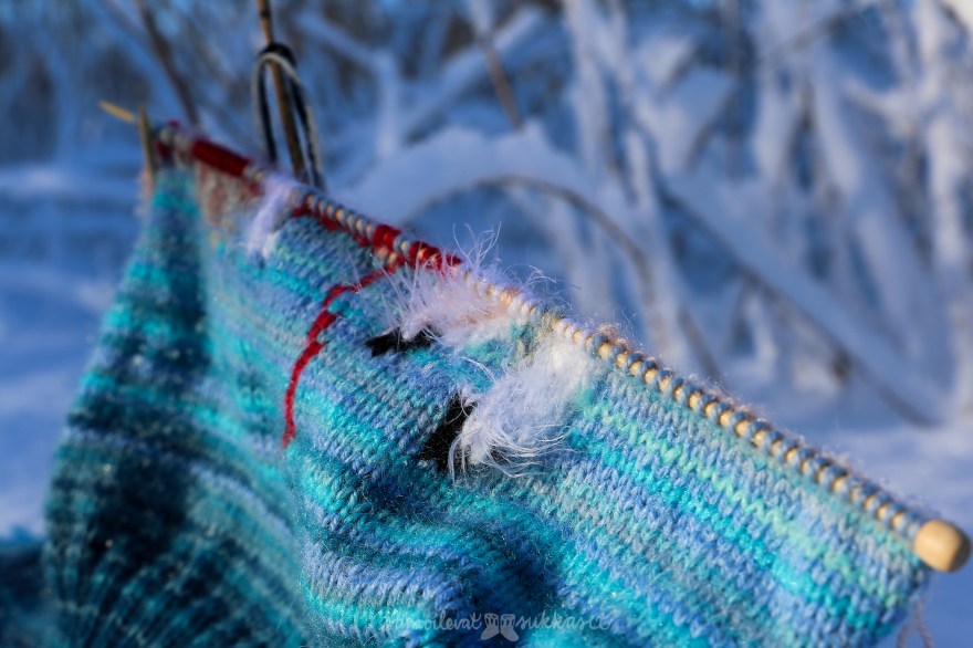 Neulehame_Iris Tanttu_samoilevat sukkaset