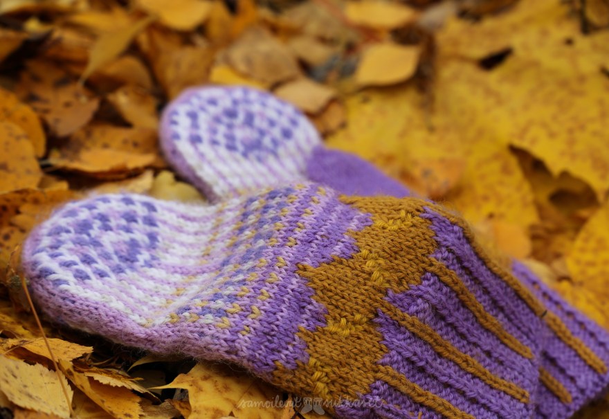 Samoilevat sukkaset_syyslapaset_21_