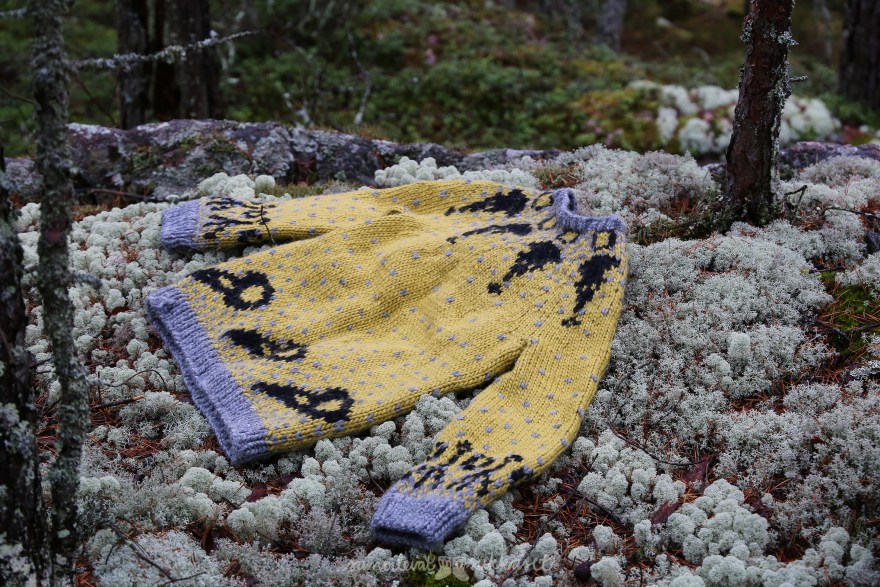 armoton erämaa_samoilevatsukkaset_iristanttu_villapaita