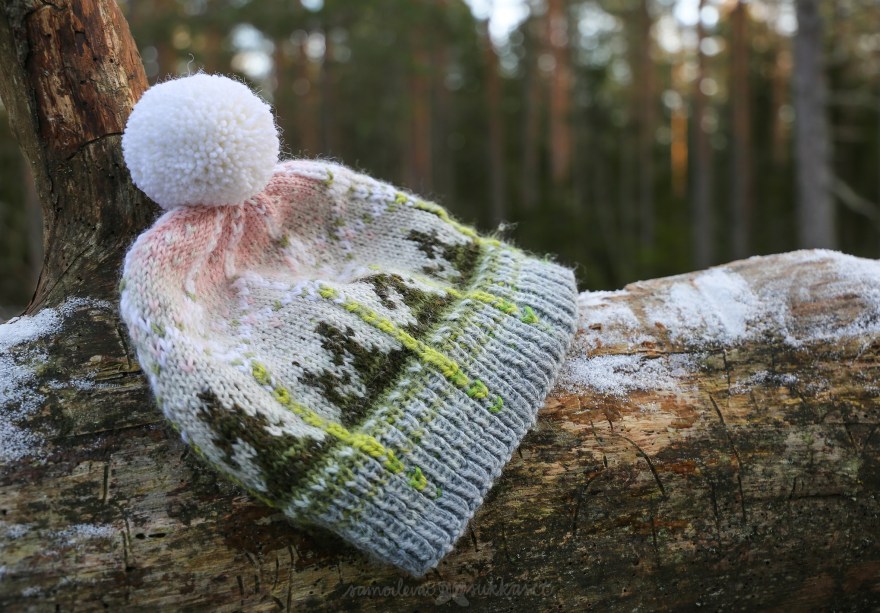 Talven tuntua pipo_samoilevatsukkaset_iristanttu_olarinterveysluontopolku