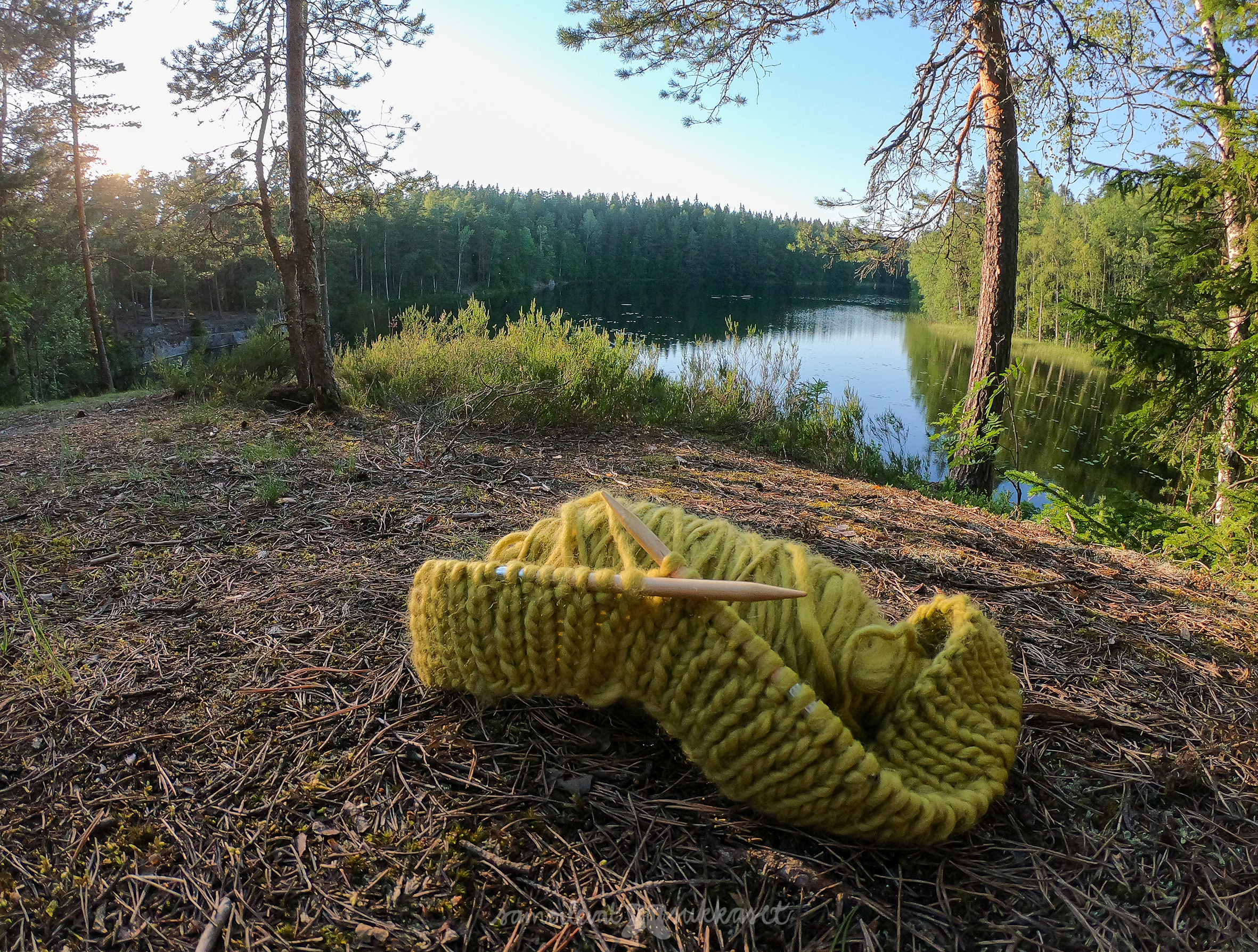 Samoilevat sukkaset_Urja_Nuuksio_neuleretki 2019