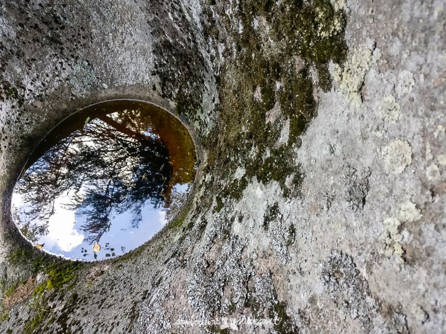 Urja_Nuuksio19__hiidenkirnu_samoilevatsukkaset_iristanttu