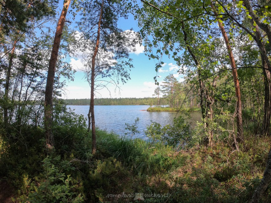 Nuuksio_samoilevatsukkaset_iristanttu_neuleretki_Orajärvi