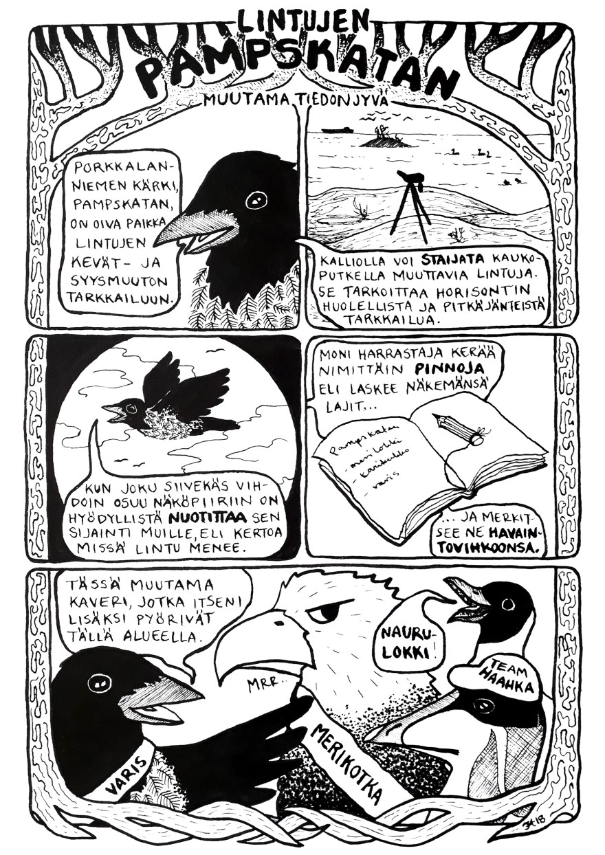 Infosarjis_Pampskatan linnut_iristanttu