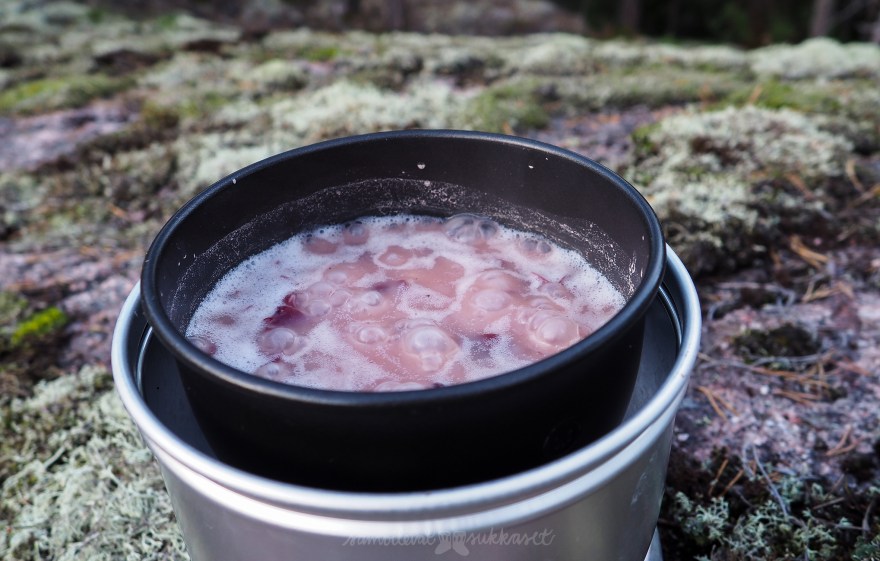 Nukuyöulkona2019_samoilevatsukkaset_neuleretkeily_iristanttu5