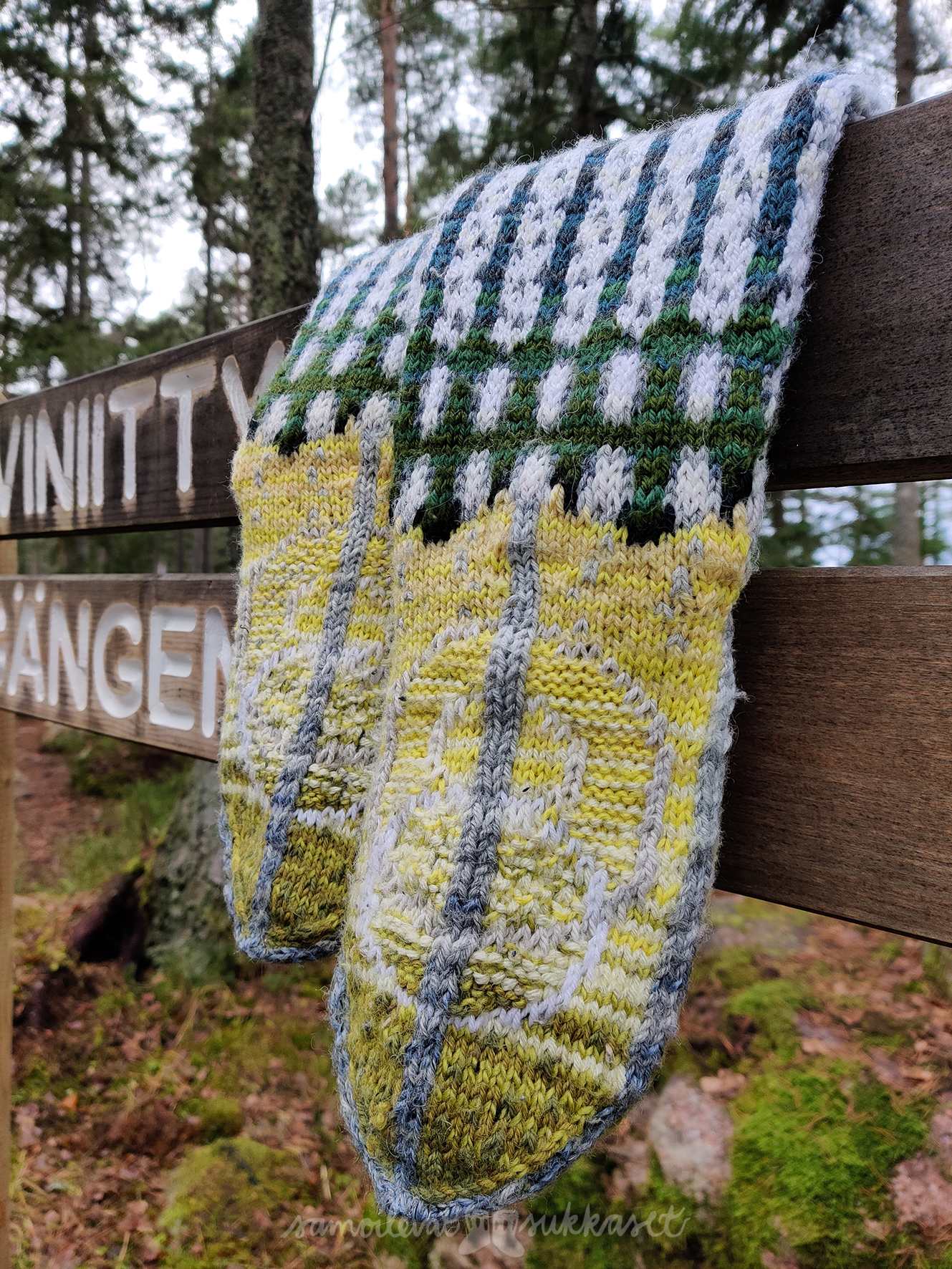 Samoilevat sukkaset Porkkalassa_2_iristanttu