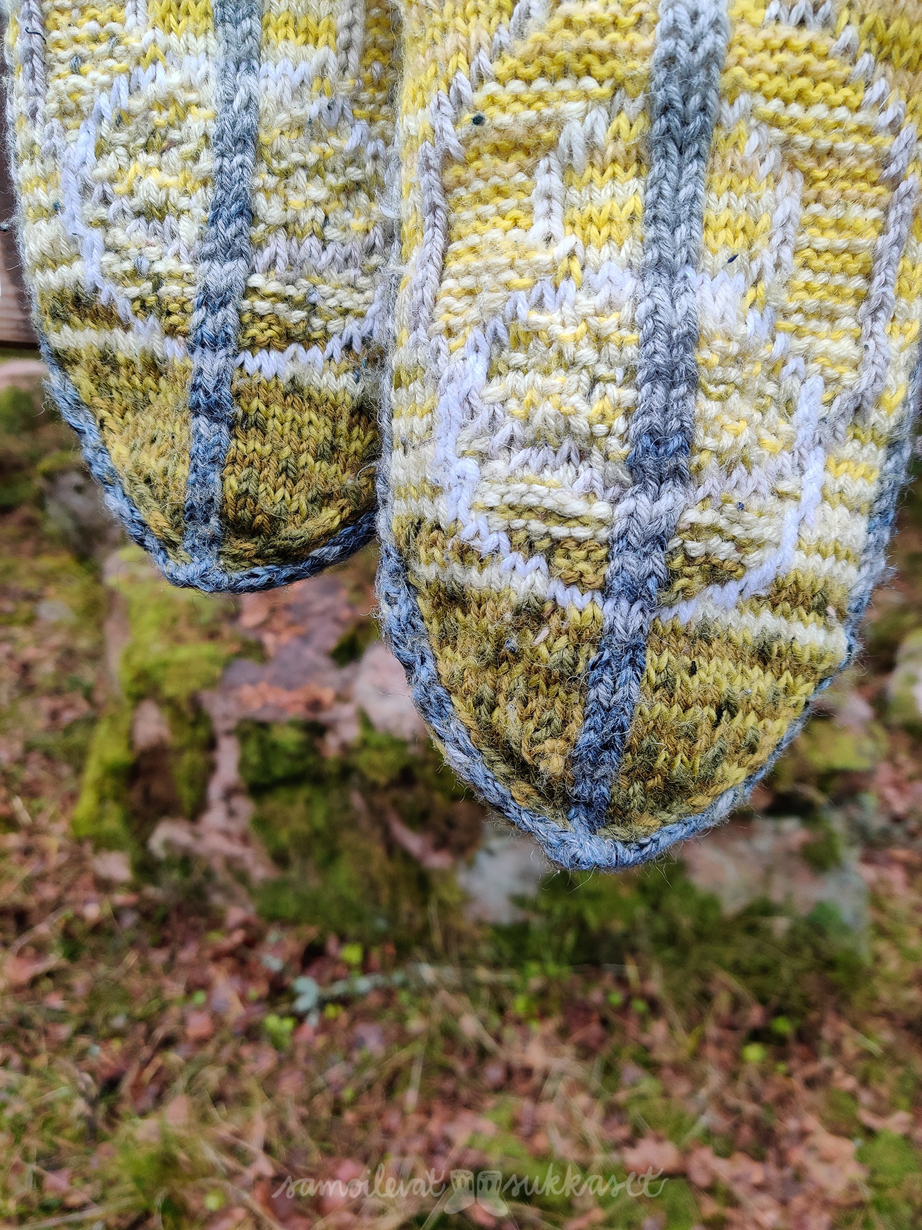 Samoilevat sukkaset Porkkalassa_3_iristanttu