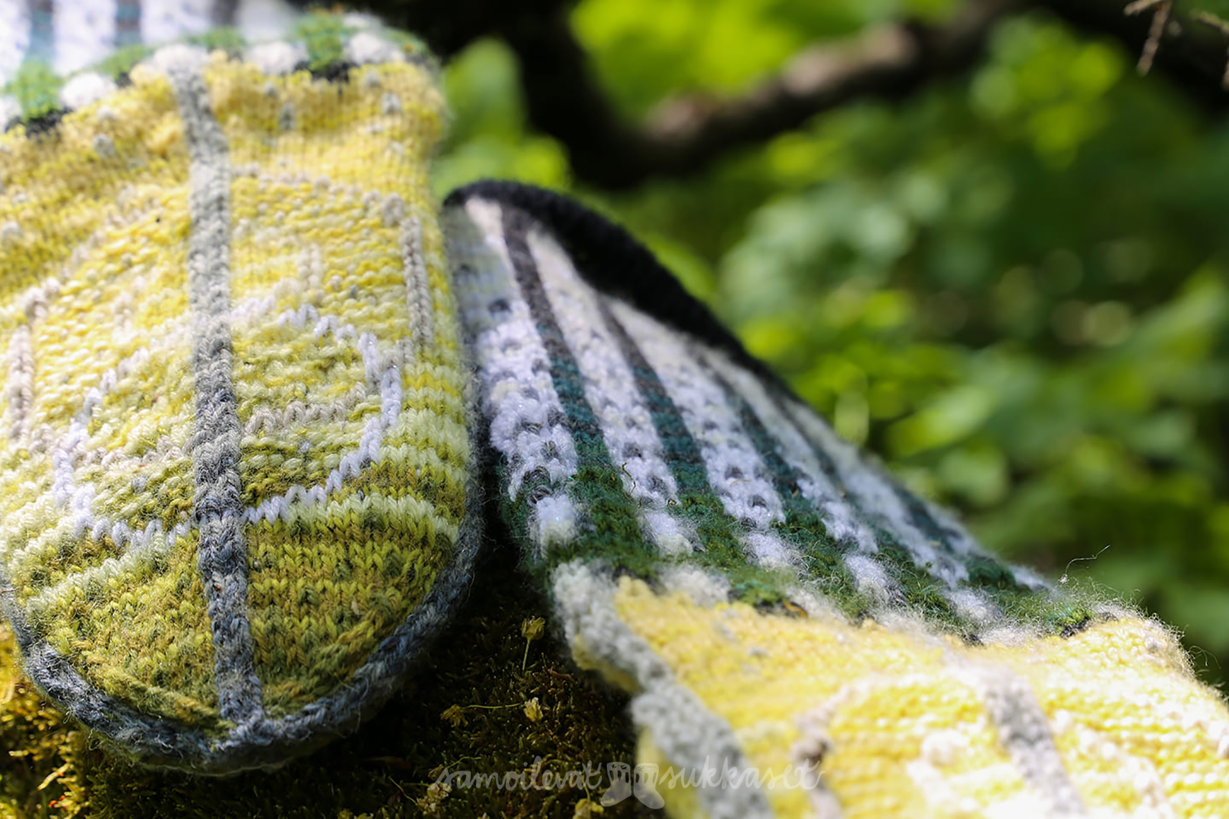 Samoilevat sukkaset yksityiskohta_iristanttu