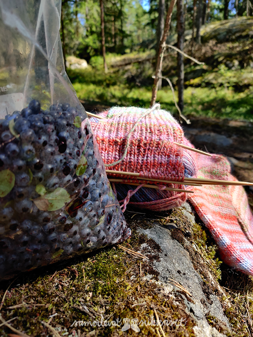 samoilevatsukkaset_neuleretkeily_mustikkametsällä1