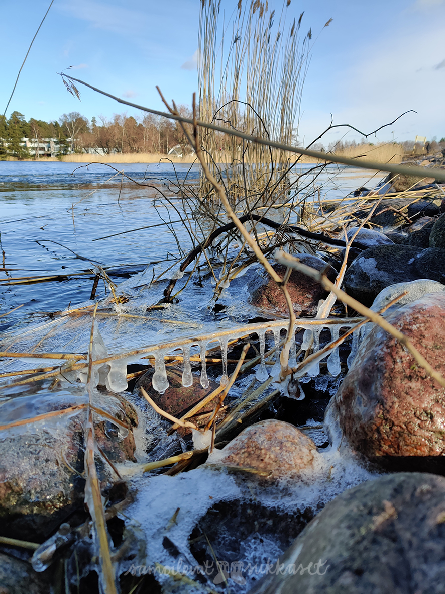 samoilevatsukkaset_kevät2020