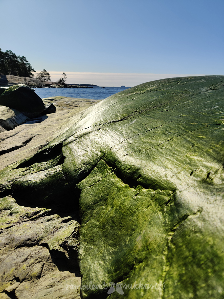 samoilevatsukkaset_lauttasaaren hiidenkirnu1