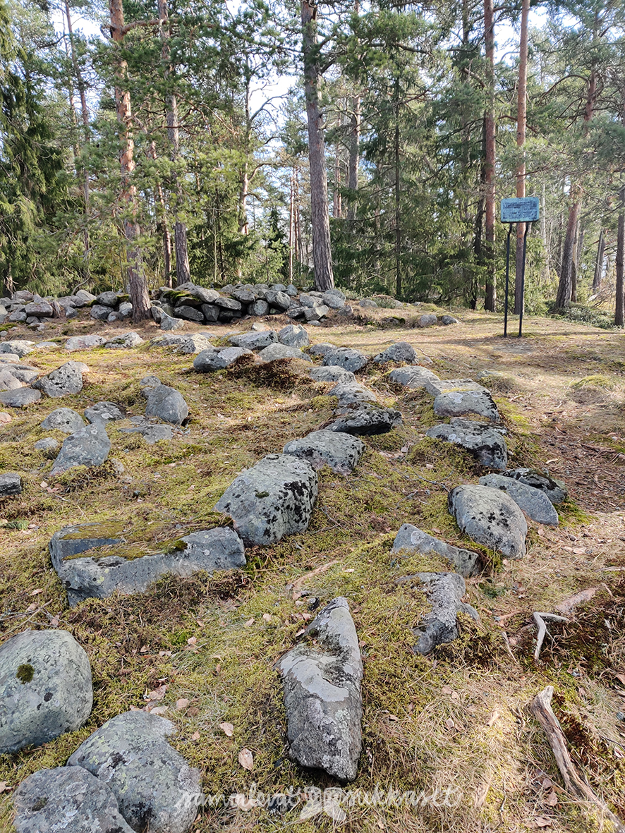 samoilevatsukkaset_lehtisaaren muinaishaudat3