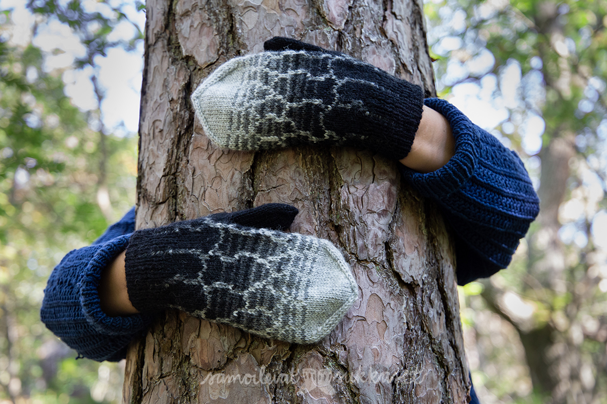 Lapasia lintumaailmasta_veikeä varis_iris tanttu