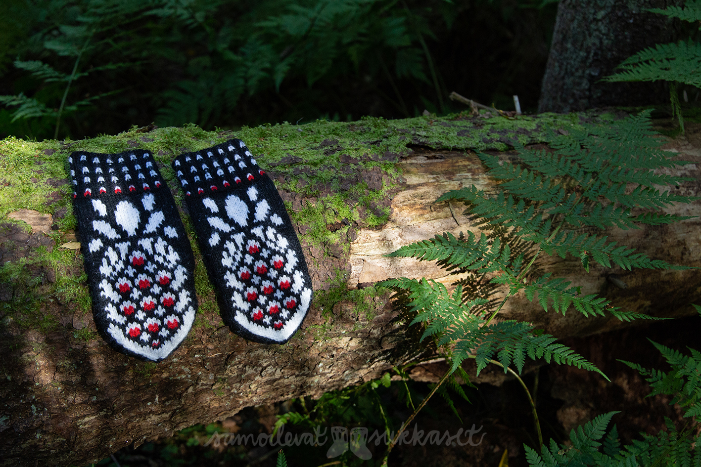 Lapasia lintumaailmasta_kohtelias käpytikka_iris tanttu