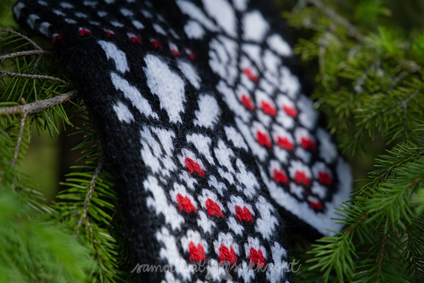 Lapasia lintumaailmasta_kohtelias käpytikka_iris tanttu_pirkka lanka