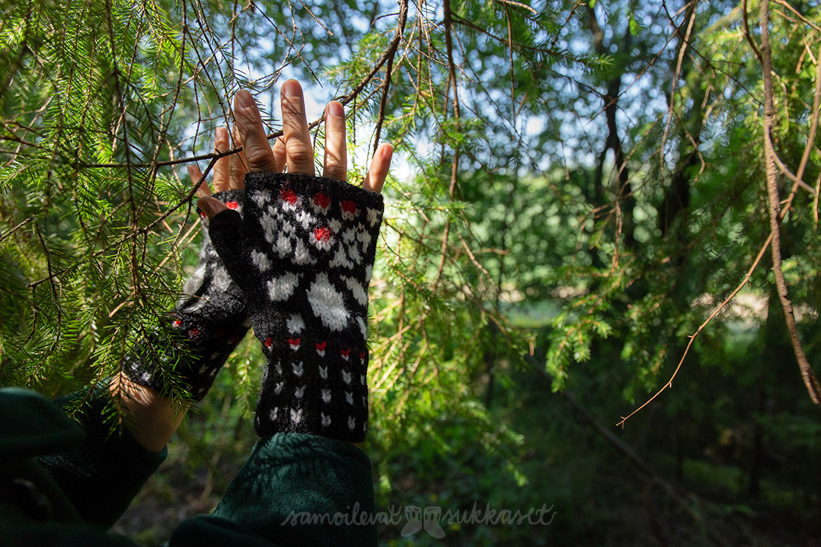 Lapasia lintumaailmasta_kohtelias käpytikka_iris tanttu_kämmekkäät_pirkkalanka