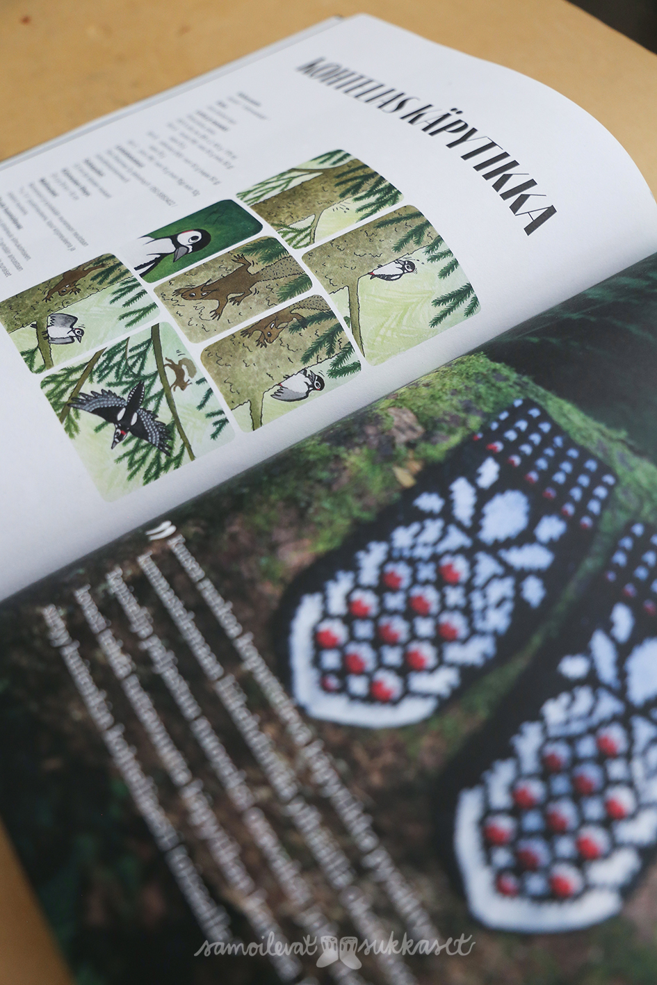 Lapasia lintumaailmasta_kohtelias käpytikka_iris tanttu_sarjakuva